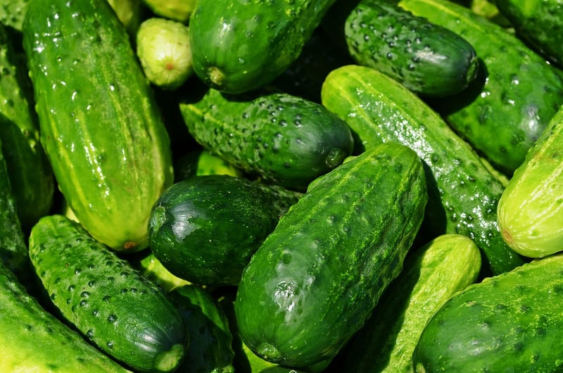 Summer Vegetables